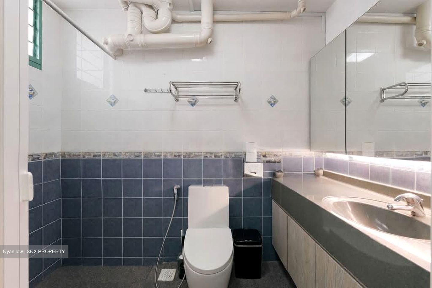 Blk 484 Segar Gardens (Bukit Panjang), HDB Executive #546537581